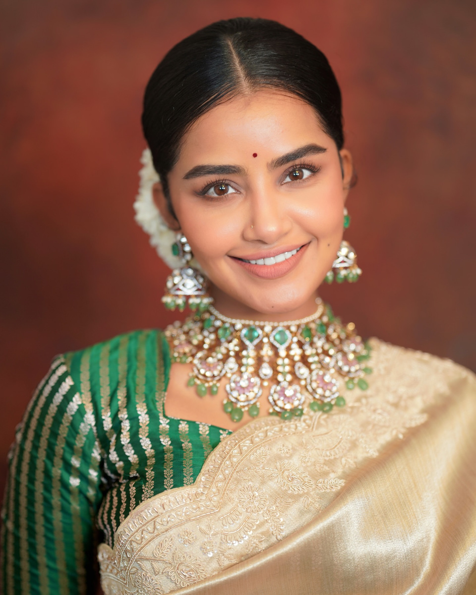 Anupama Parameswaran Pics in Saree