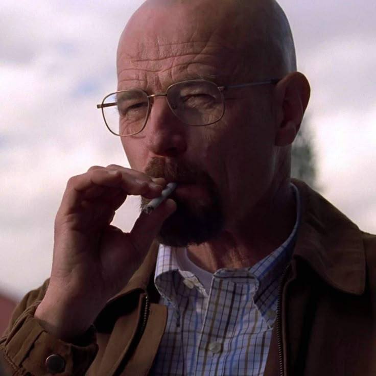 Breaking-Bad-Webseries-Posters-6