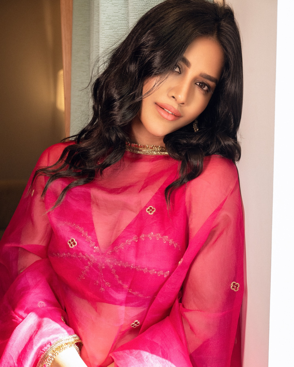 Nabha-Natesh-Hot-Pics-in-Half-Saree-7