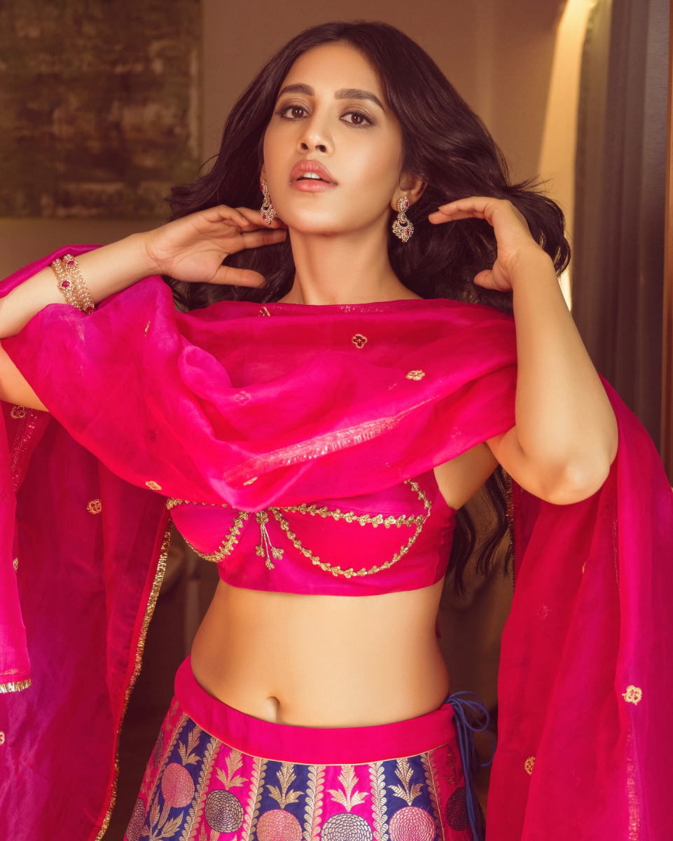 Nabha-Natesh-Hot-Pics-in-Half-Saree-9