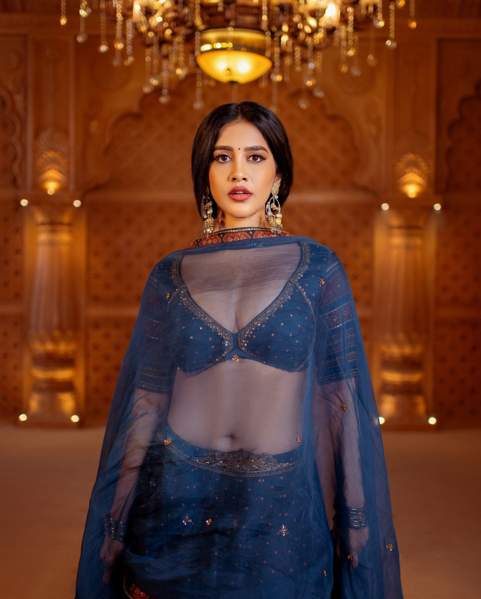 Nabha-Natesh-Latest-Hot-Images-in-Half-Saree-Pics-11
