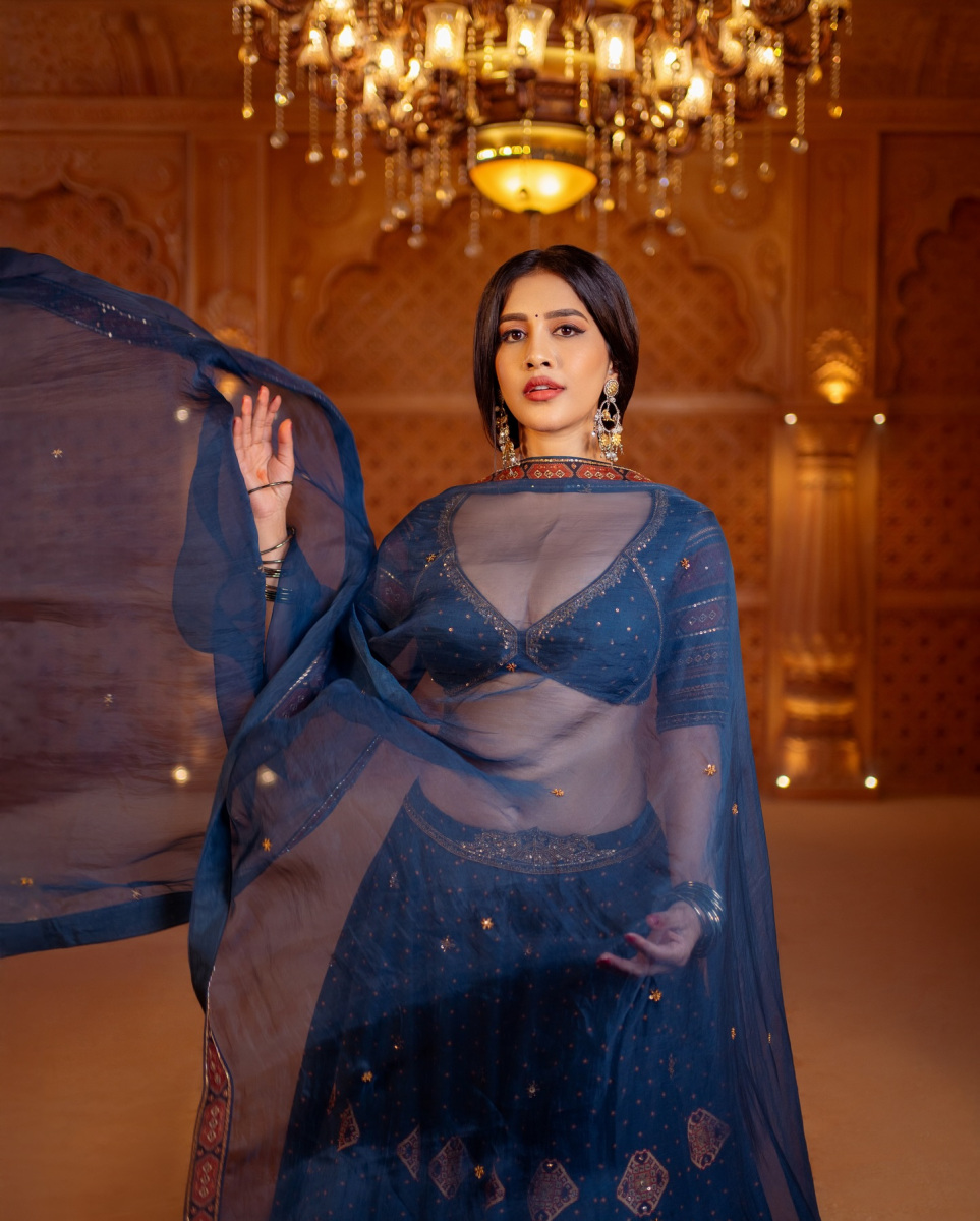 Nabha-Natesh-Latest-Hot-Images-in-Half-Saree-Pics-7