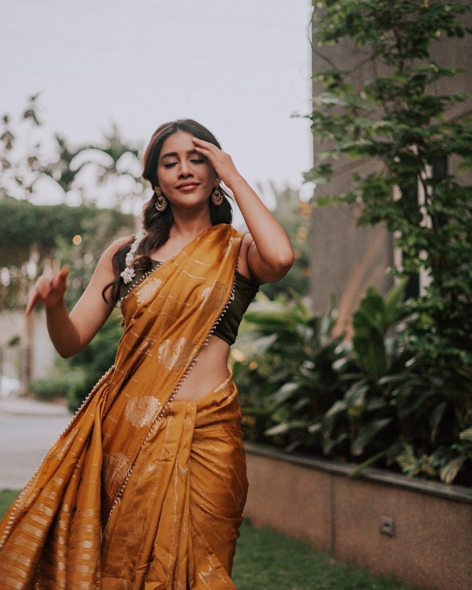 Nabha-Natesh-Latest-Hot-Saree-Pics-3