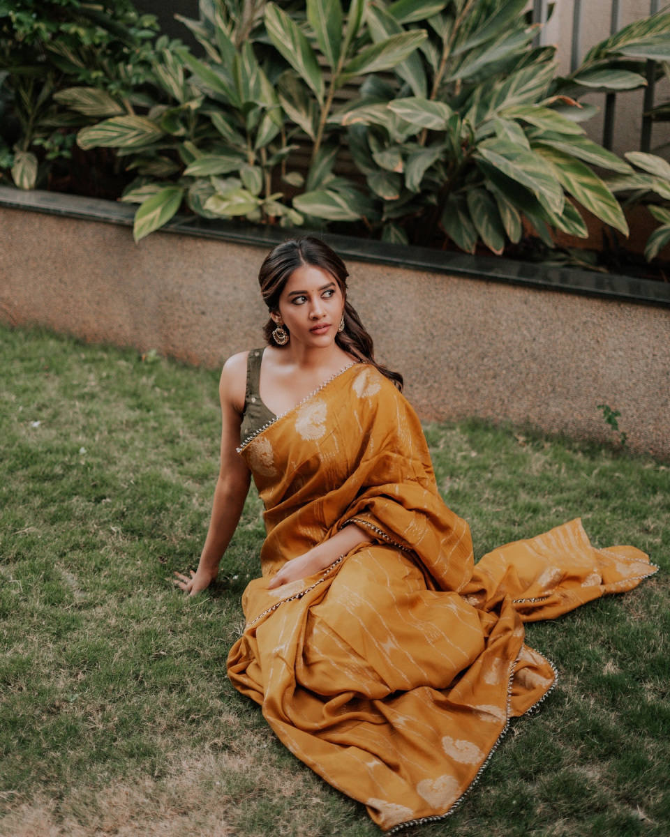 Nabha-Natesh-Latest-Hot-Saree-Pics-8