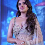 Nidhhi Agerwal Latest Saree Stills At Rajasaab movie event 1